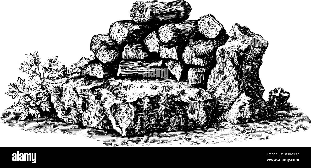 Illustrazione incisa di legna da ardere impilata e rocce con fogliame per un design rustico. Illustrazione Vettoriale