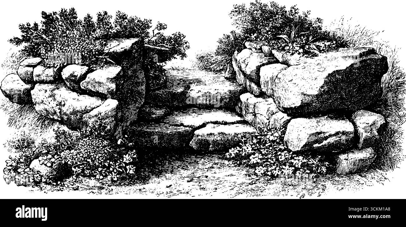 Illustrazione vintage incisa di un percorso in pietra con muschio e piante - design retrò per un arredamento a tema naturale. Illustrazione Vettoriale