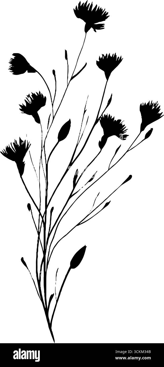 Cornice astratta simmetrica di fiori selvatici per progetti di design e stampa ispirati alla natura. Illustrazione Vettoriale