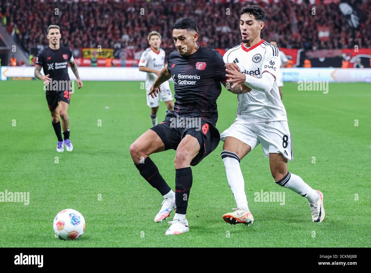 Germania. 12 settembre 2025. Fussball 1. Bundesliga 3. Spieltag Bayer 04 Leverkusen - Eintracht Frankfurt am 12.09.2025 in der BayArena a Leverkusen Equi Fernandez ( Leverkusen ), links - Fares Chaibi (Francoforte), rechts regolamenti DFL vietano qualsiasi uso di fotografie come sequenze di immagini e/o quasi-video. Foto: Revierfoto credito: ddp media GmbH/Alamy Live News Foto Stock