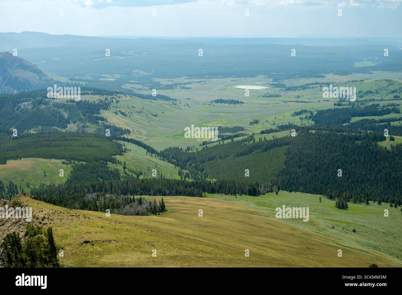 Discesa ripida dal monte Sepulcher fino al lago Swan e alla valle sottostante nel parco nazionale di Yellowstone Foto Stock