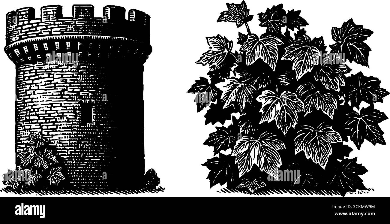 Illustrazione incisa della torre del castello e dell'edera per il design storico. Illustrazione Vettoriale