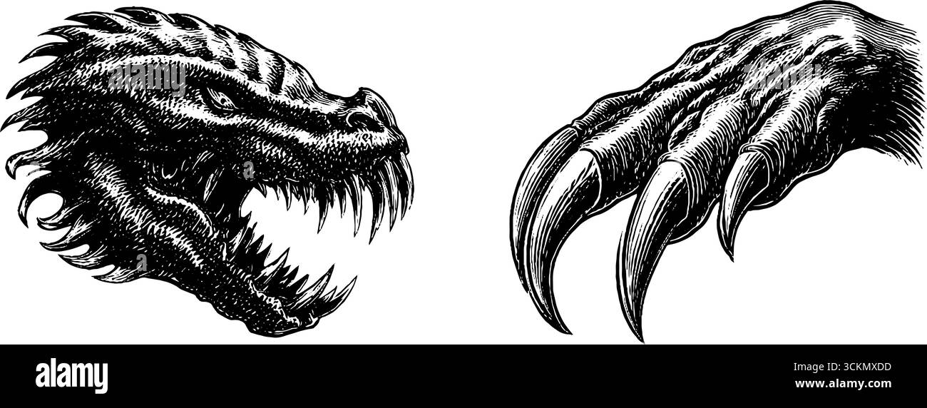 Set illustrativo con testa di drago incisa e artiglio per creare creature mitiche. Illustrazione Vettoriale
