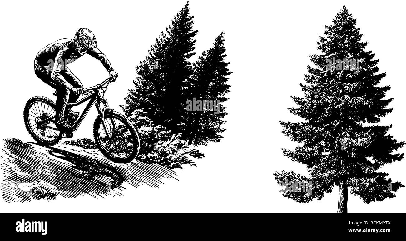 Avventura in mountain bike nella foresta naturale con pini per gli amanti delle attività all'aria aperta. Illustrazione Vettoriale