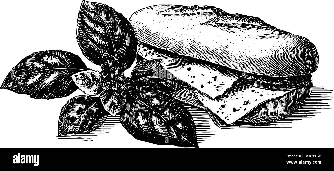 Illustrazione incisa del disegno del panino con polpette e parmigiano per l'arte culinaria. Illustrazione Vettoriale