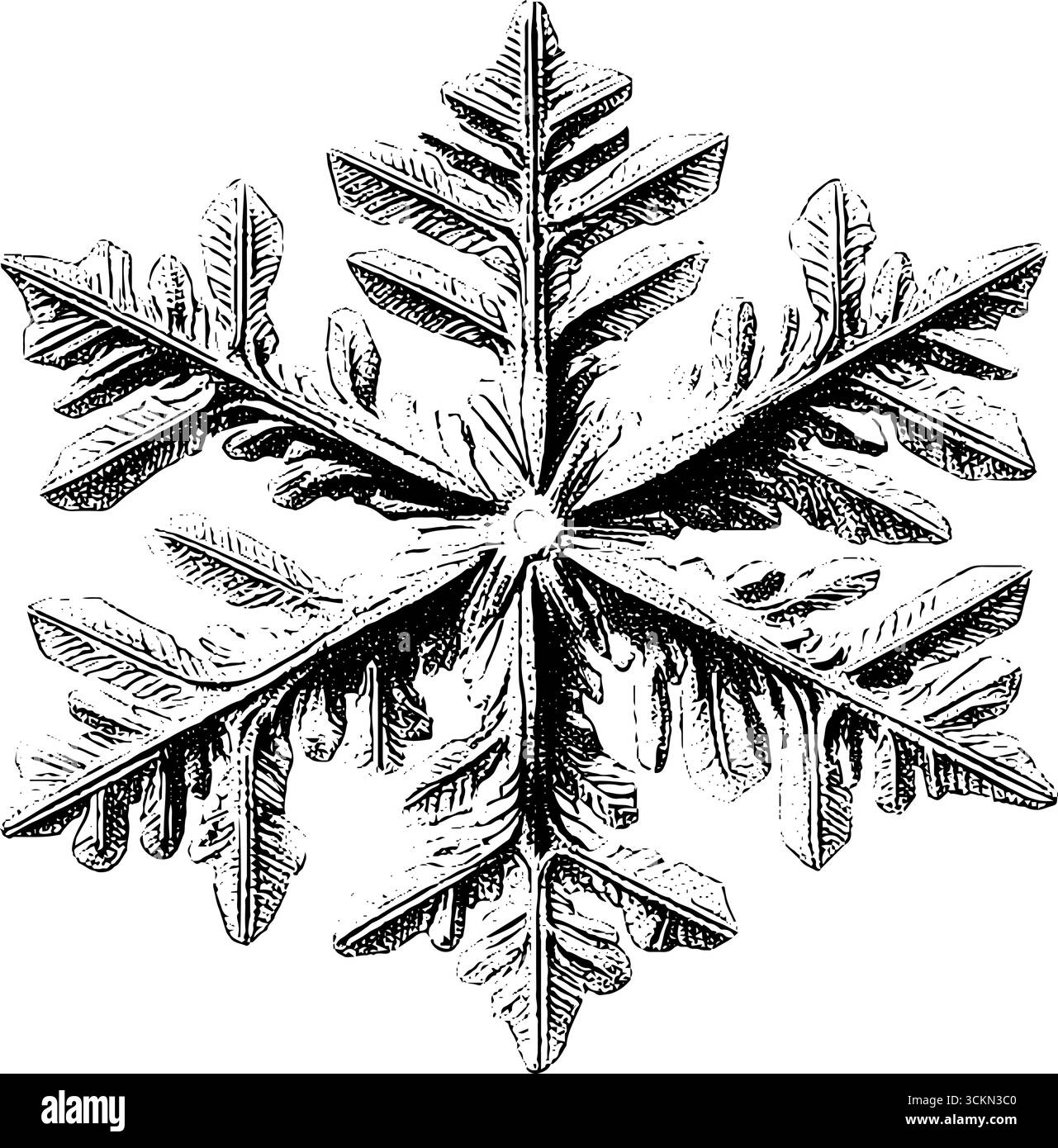 Design in cristalli con motivo fiocco di neve inciso per un arredamento invernale. Illustrazione Vettoriale