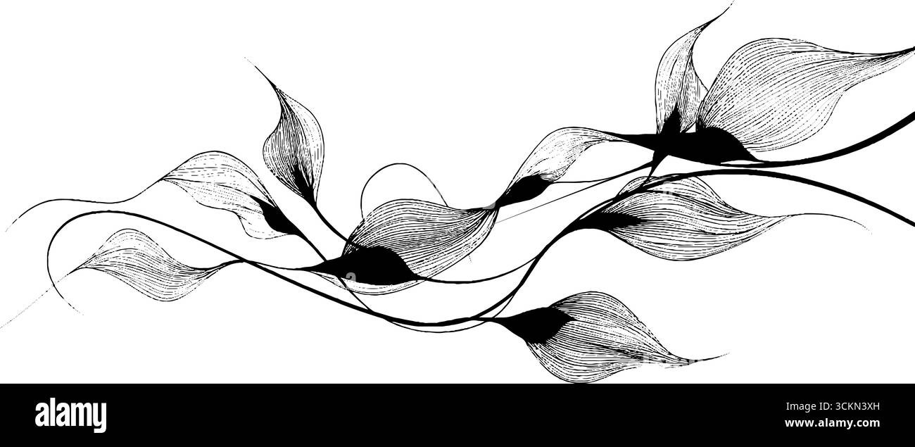 Linee organiche astratte incisioni con curve fluide per progetti artistici. Illustrazione Vettoriale