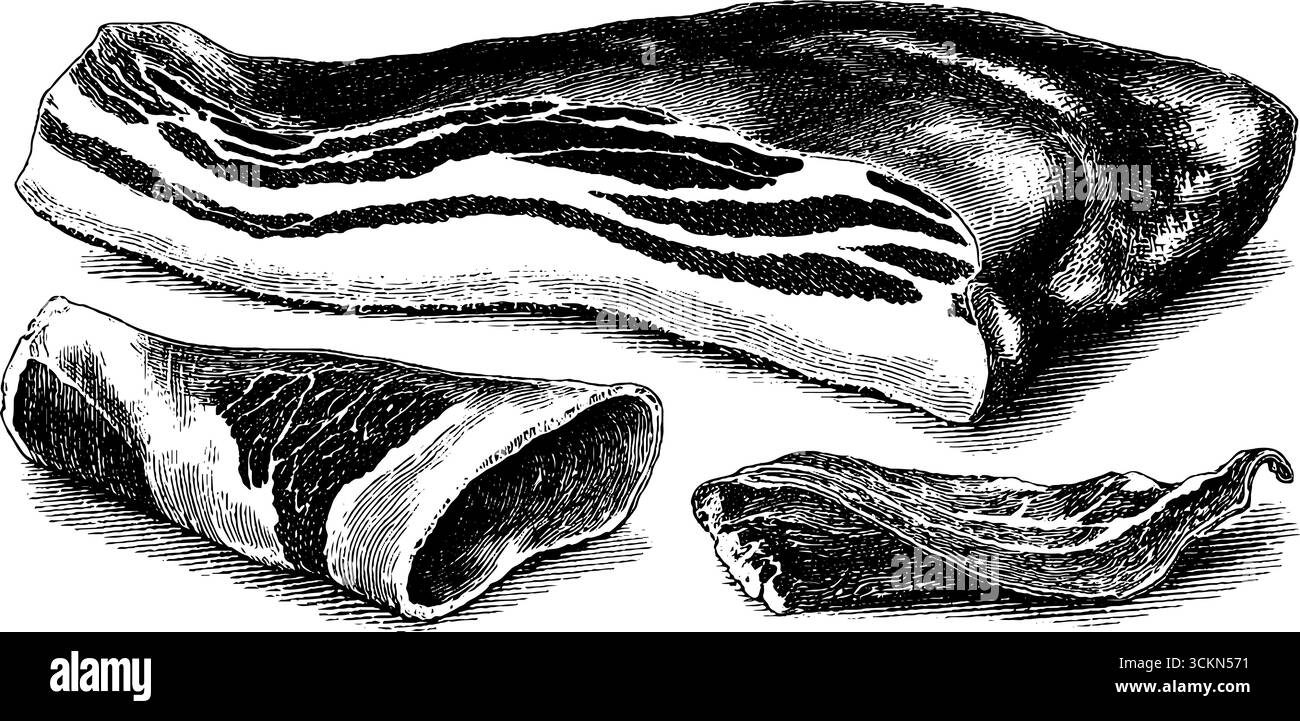 Set illustrativo inciso con guanciale e guancia per il design culinario. Illustrazione Vettoriale