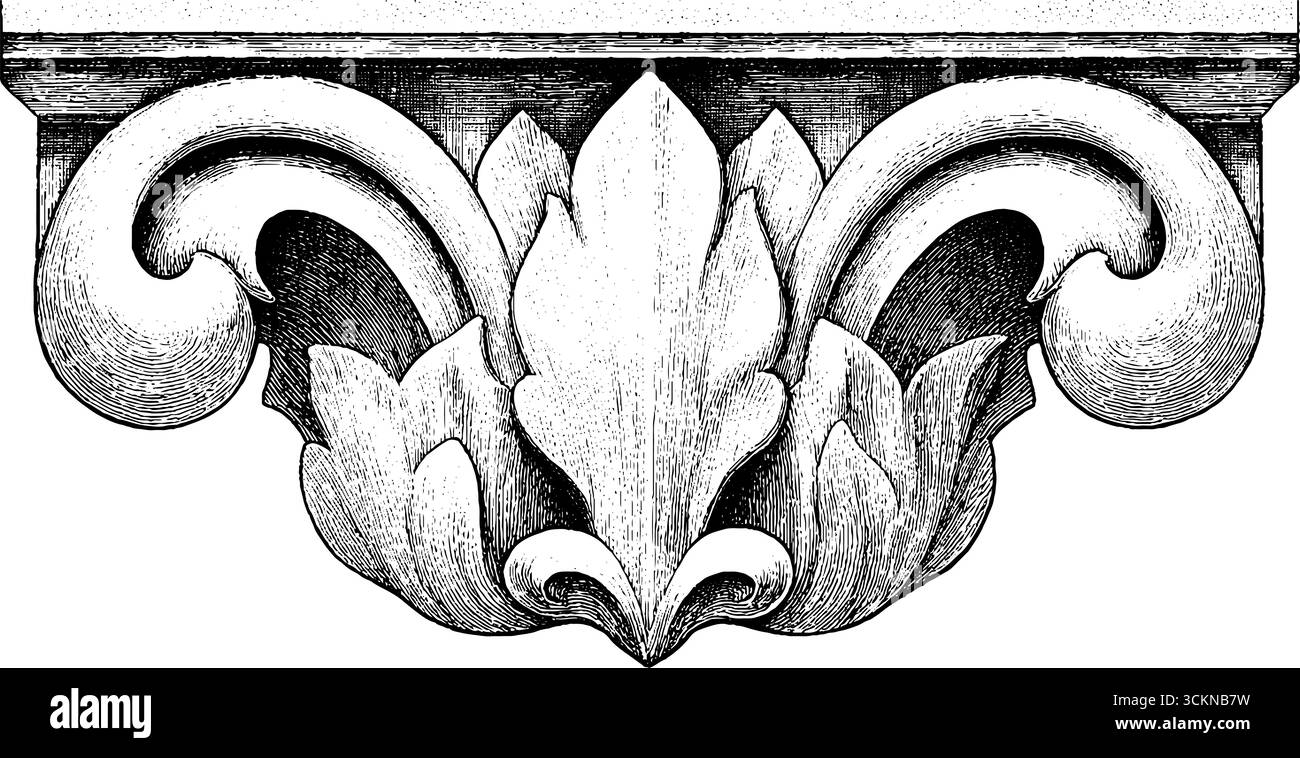 Intricata facciata art nouveau con dettagli architettonici incisi per progetti di design. Illustrazione Vettoriale