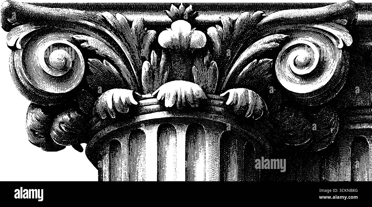 Facciata barocca con incisione che presenta dettagli architettonici ornati. Illustrazione Vettoriale