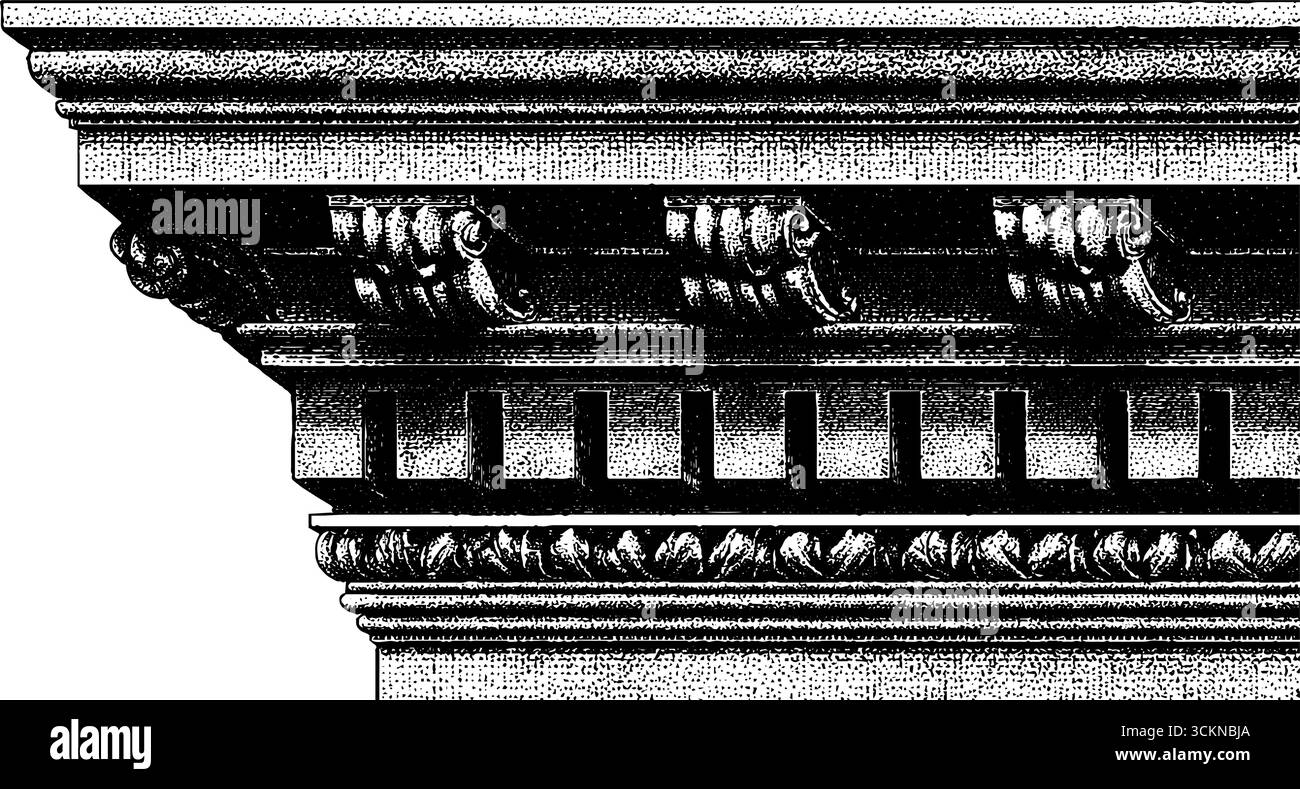 Facciata del palazzo rinascimentale incisa con dettagli architettonici. Illustrazione Vettoriale