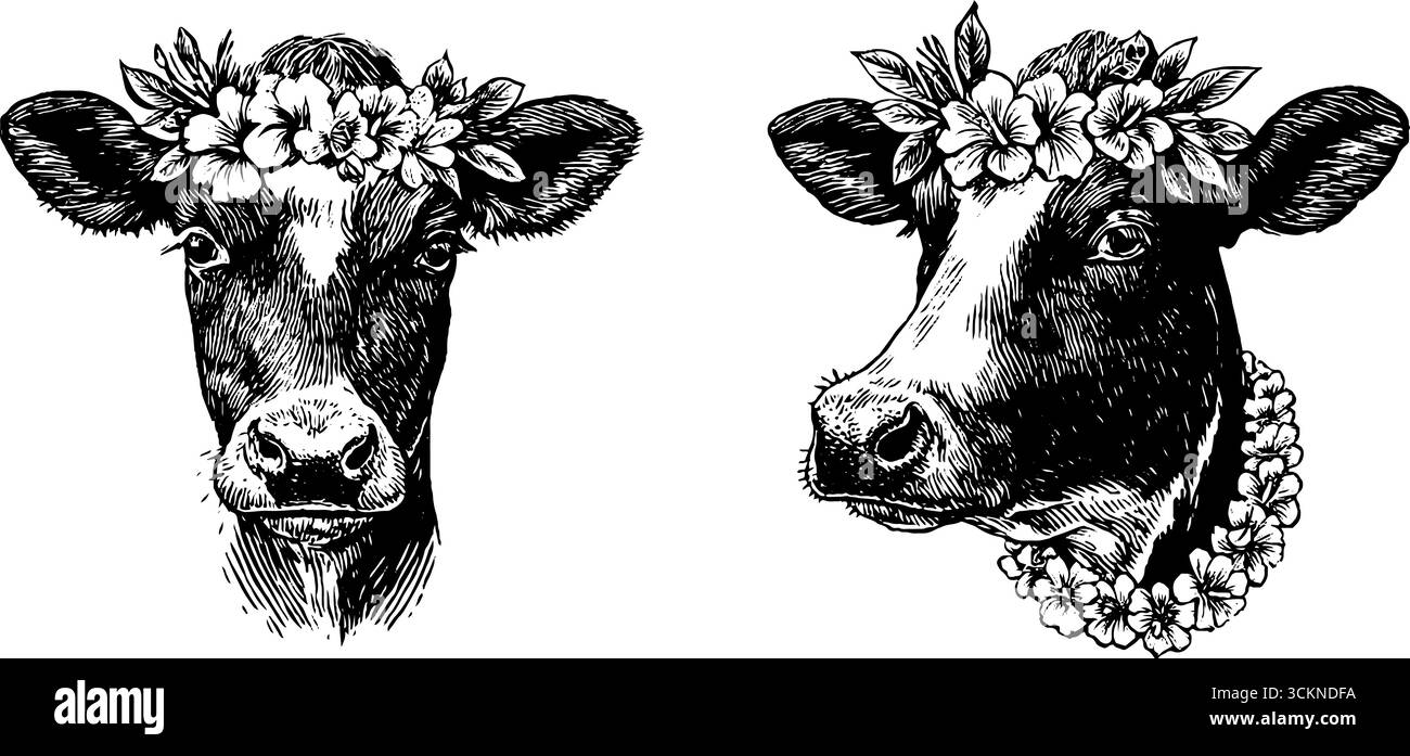 Affascinanti illustrazioni di mucche incise con corone di fiori per un arredamento rustico. Illustrazione Vettoriale