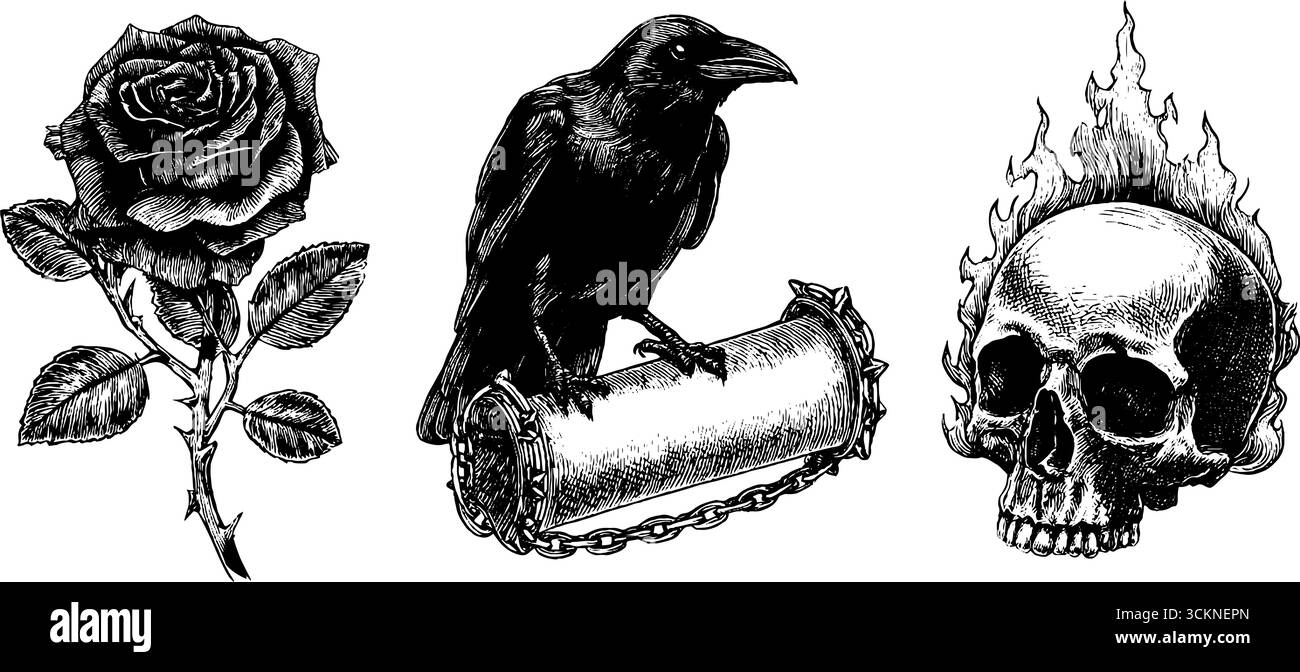 Illustrazione incisa di rosa metallica, corvo sul cilindro e teschio fiammeggiante. Illustrazione Vettoriale