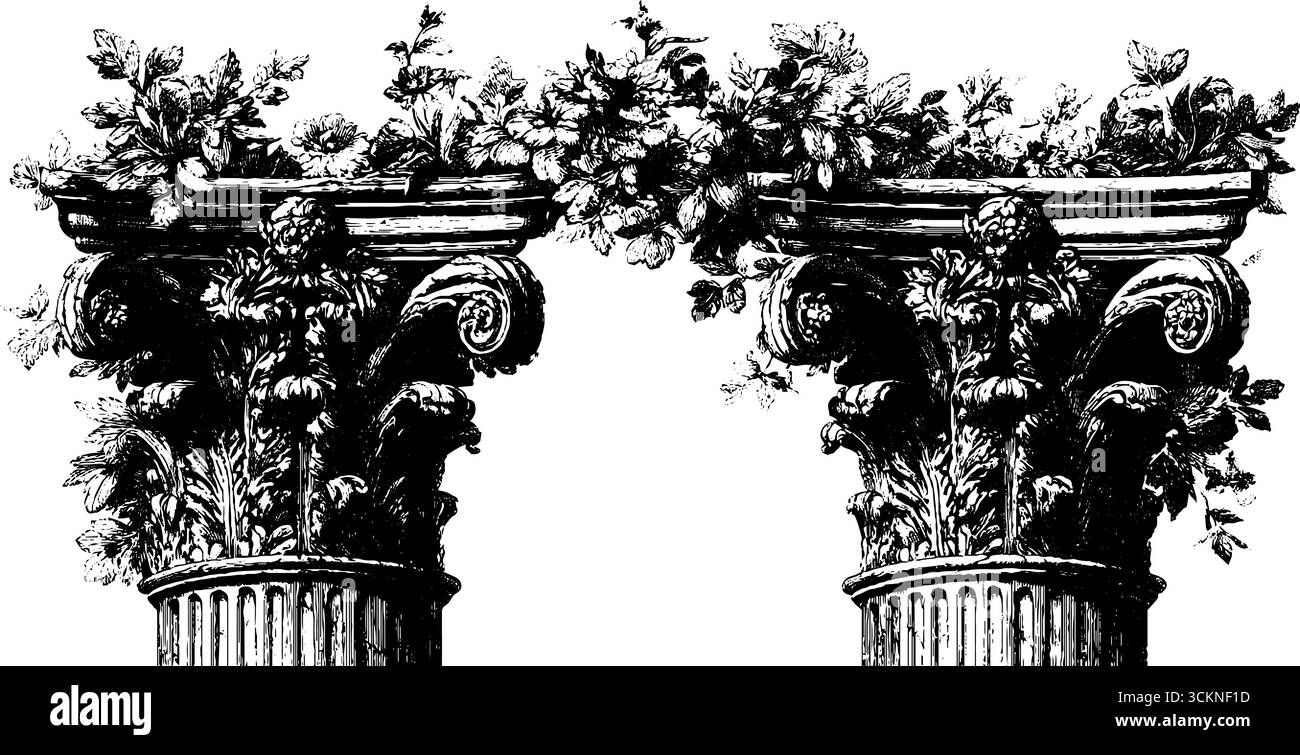 Colonne classiche ornate con dettagli floreali per un design architettonico. Illustrazione Vettoriale