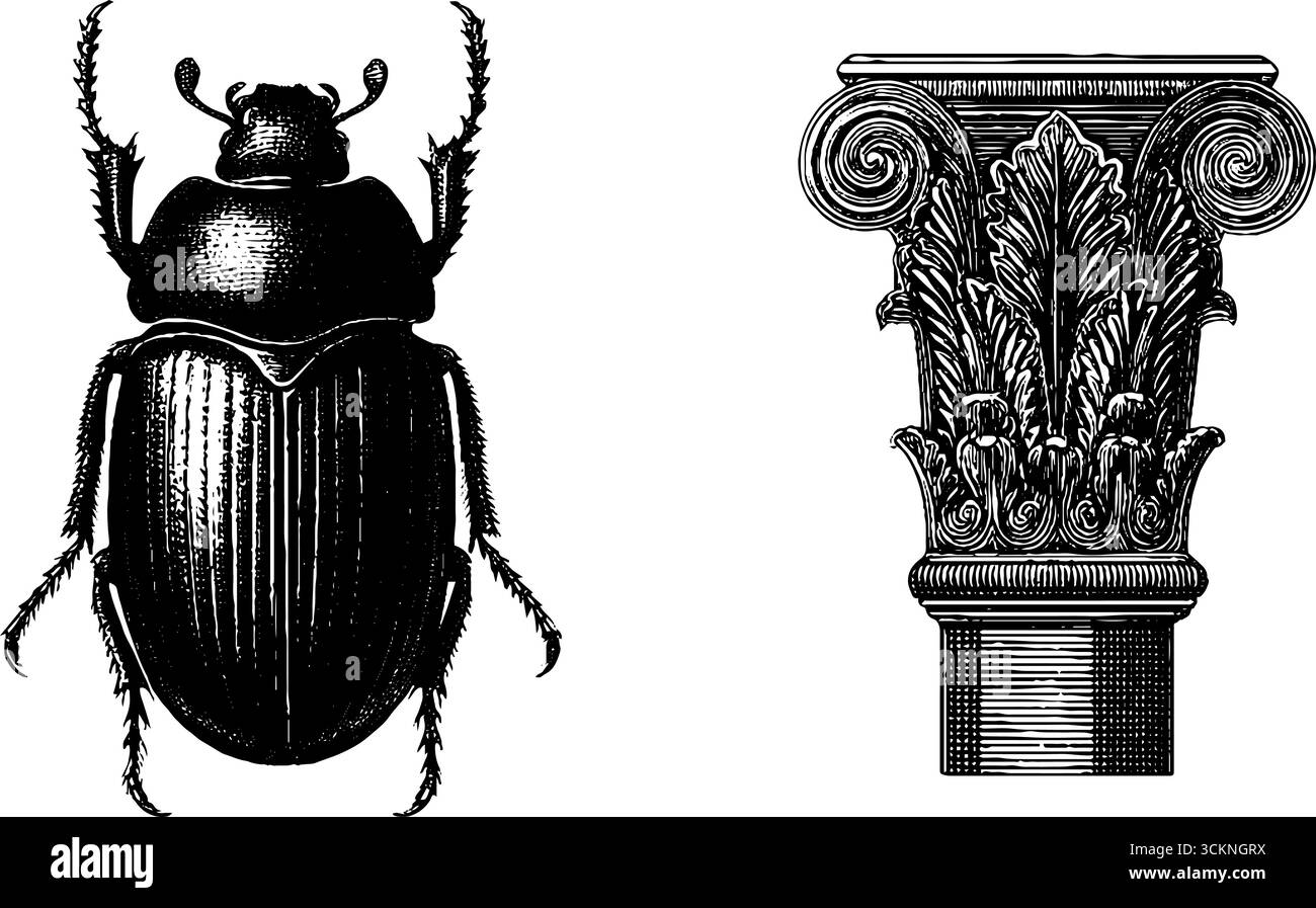 Intricata illustrazione incisa dello scarabeo egiziano e del design decorativo della colonna. Illustrazione Vettoriale