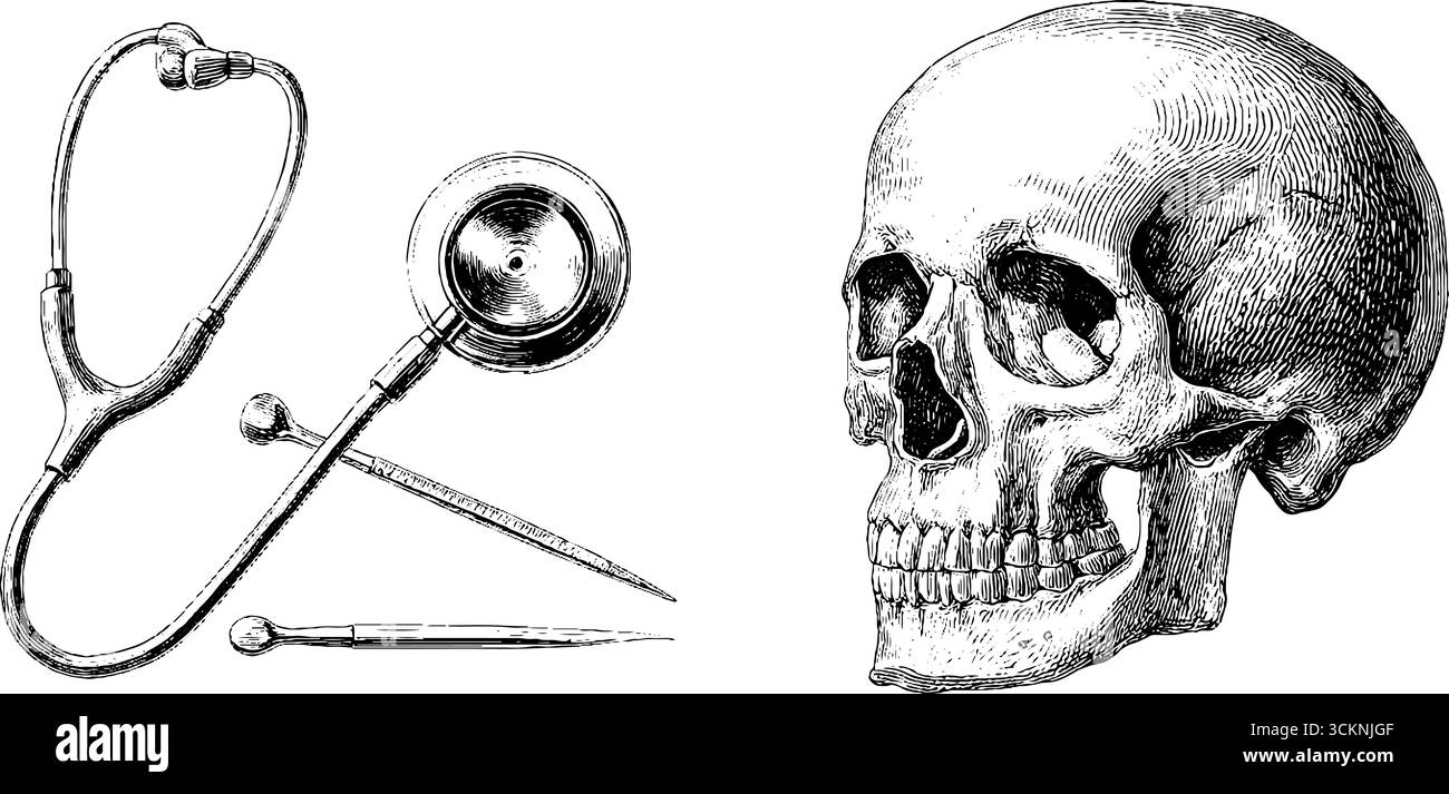 Cranio anatomico inciso con strumenti medici per la progettazione didattica. Illustrazione Vettoriale