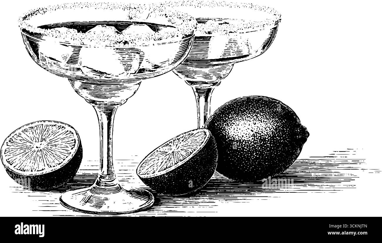 Illustrazione artistica incisa di cocktail congelati con fette di lime rinfrescanti per il design delle bevande. Illustrazione Vettoriale