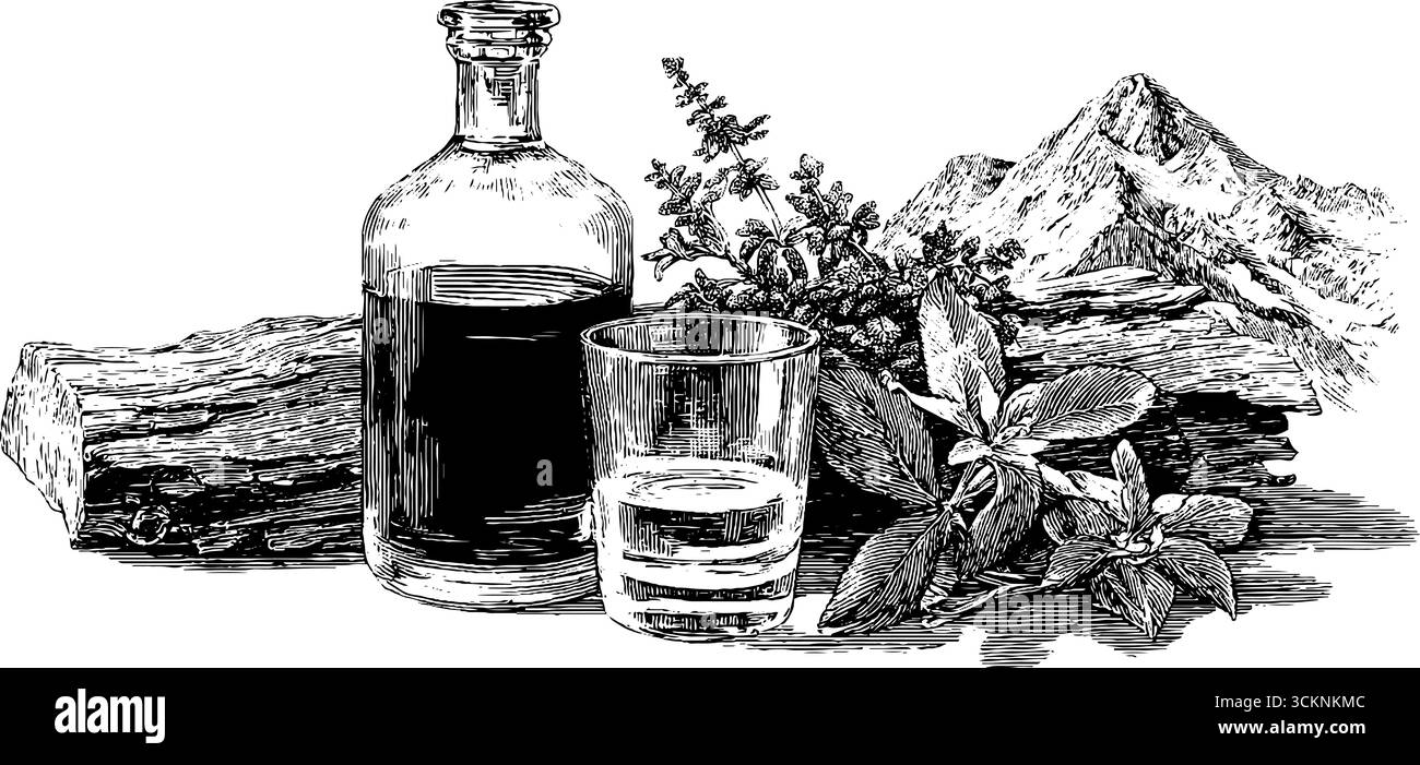 Illustrazione incisa di una bottiglia di liquore alpino con erbe di montagna e sfondo panoramico. Illustrazione Vettoriale