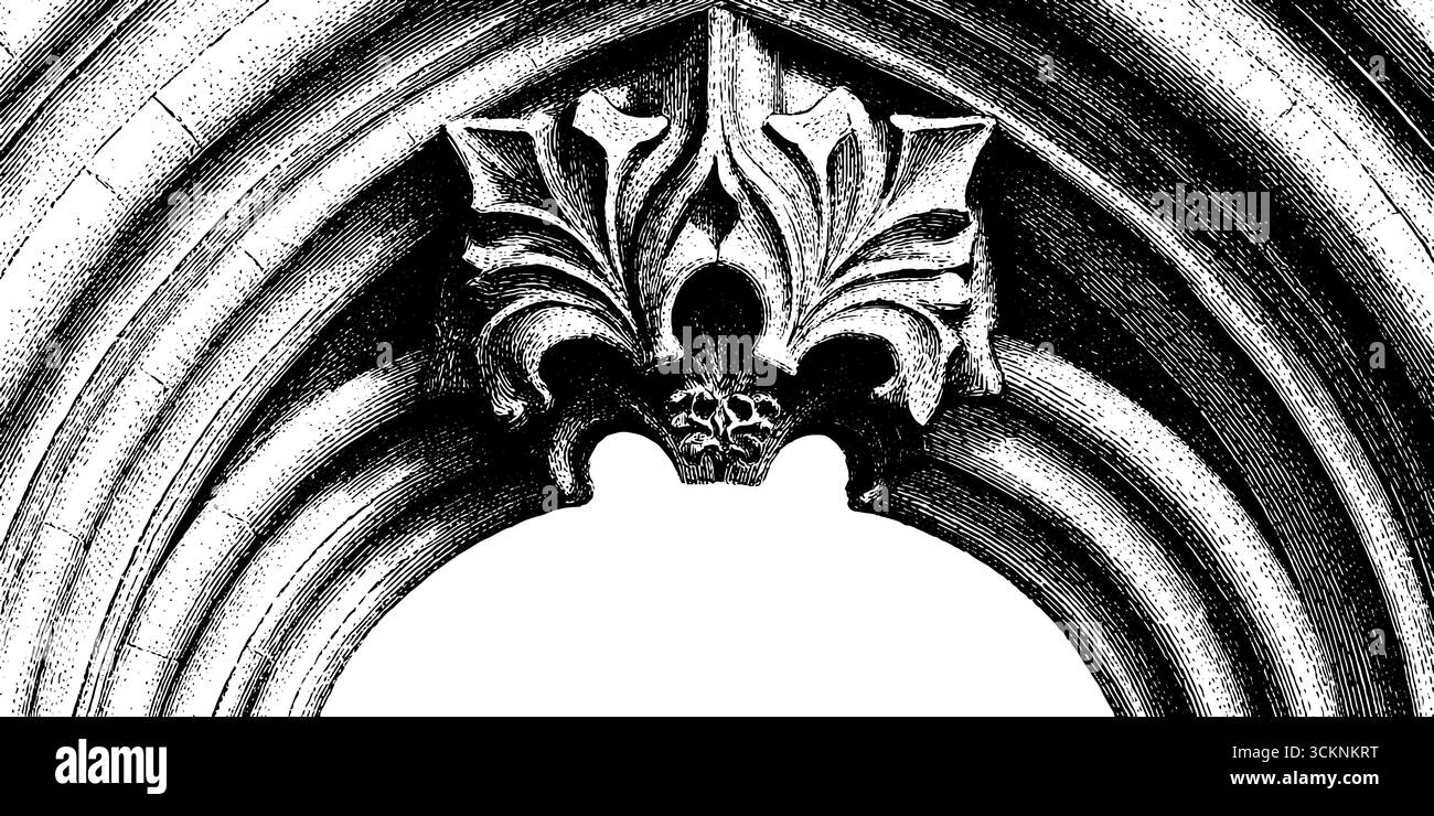 Incisione gotica a volta a costola con dettagli architettonici per progetti di design storici. Illustrazione Vettoriale