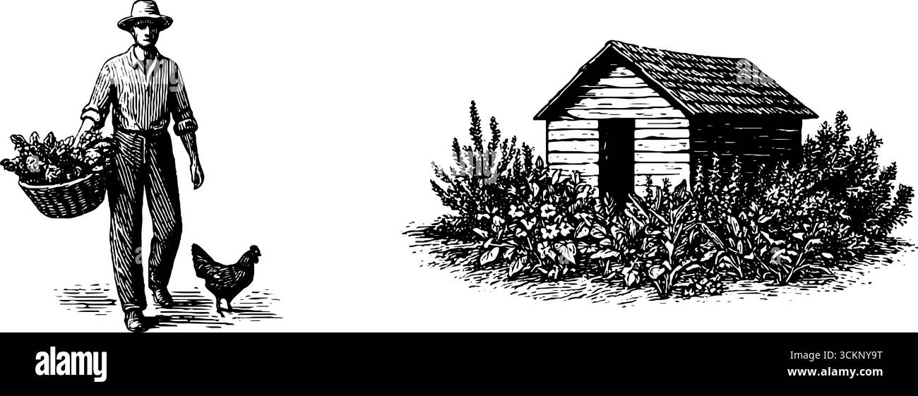 Rustica scena contadina con cesto e pollo di fronte alla fattoria. Illustrazione Vettoriale