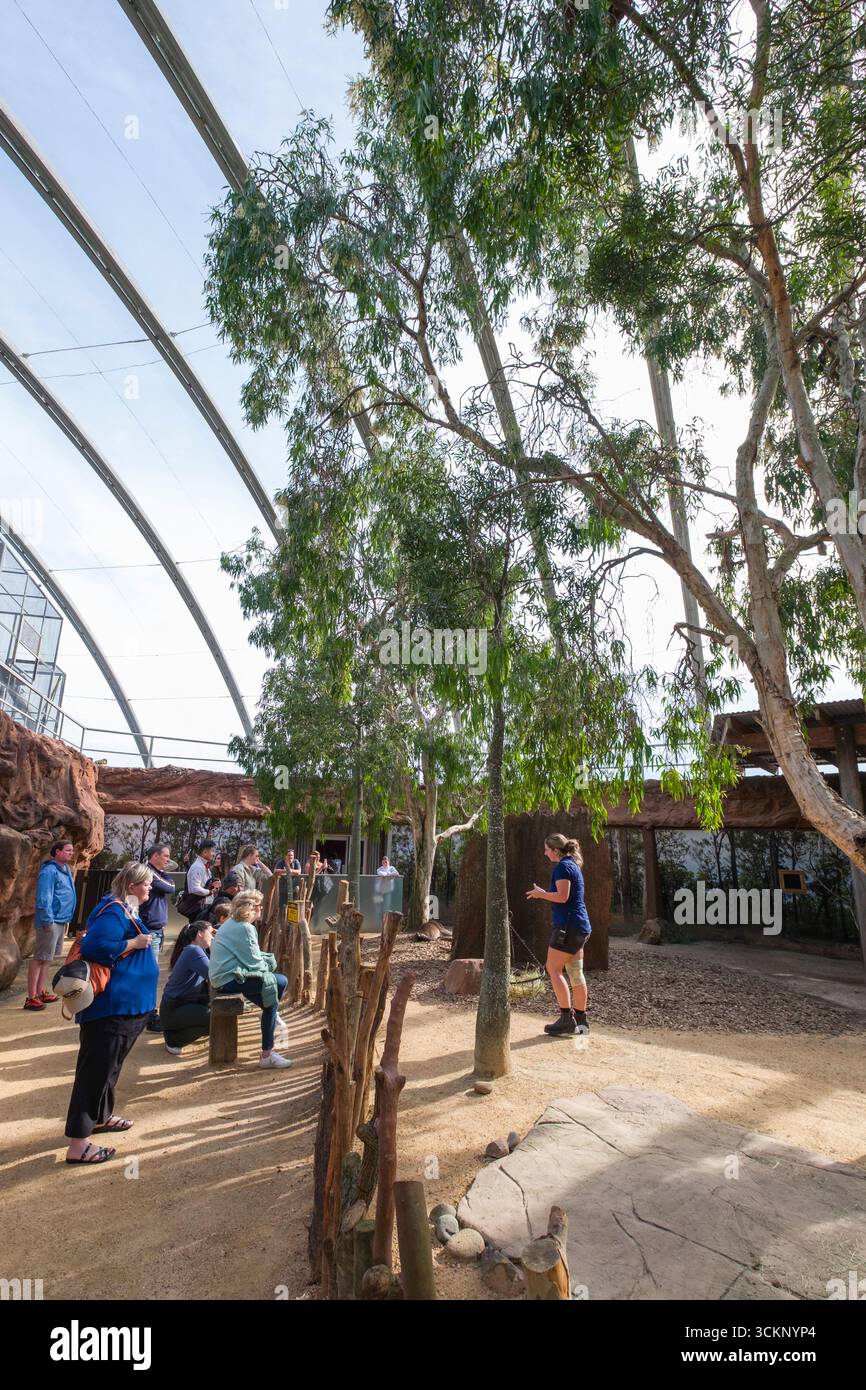 Un gruppo di persone partecipa a una sessione educativa all'interno di una lussureggiante foresta coperta, guidata da un istruttore esperto, WILD LIFE Sydney Foto Stock