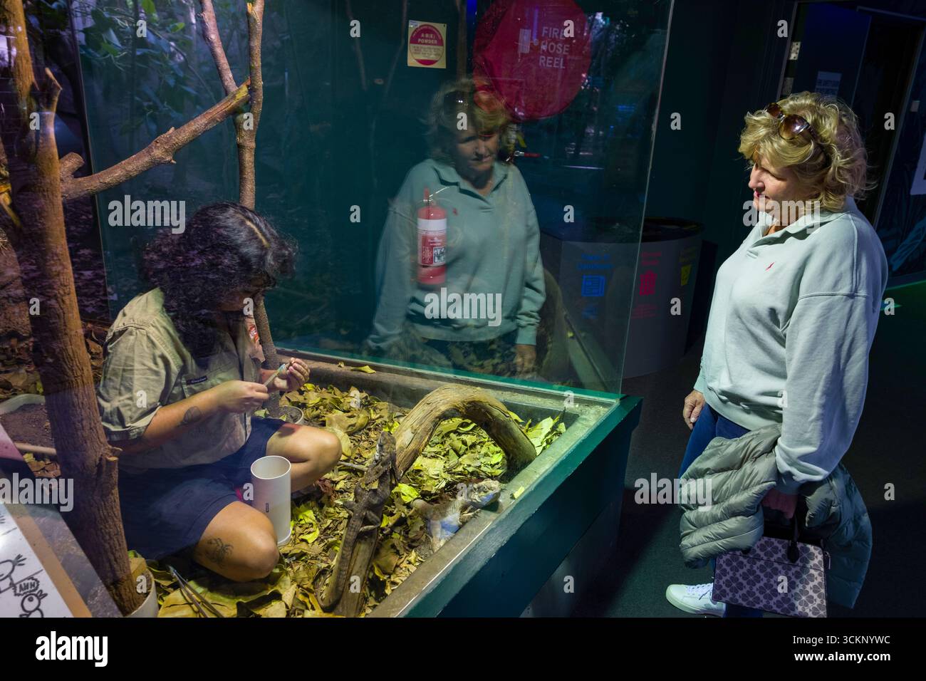 Un visitatore SELVAGGIO dello Zoo di Sydney osserva da vicino una mostra unica che presenta un individuo all'interno di un recinto di vetro che esegue attività, Darling Harbo Foto Stock