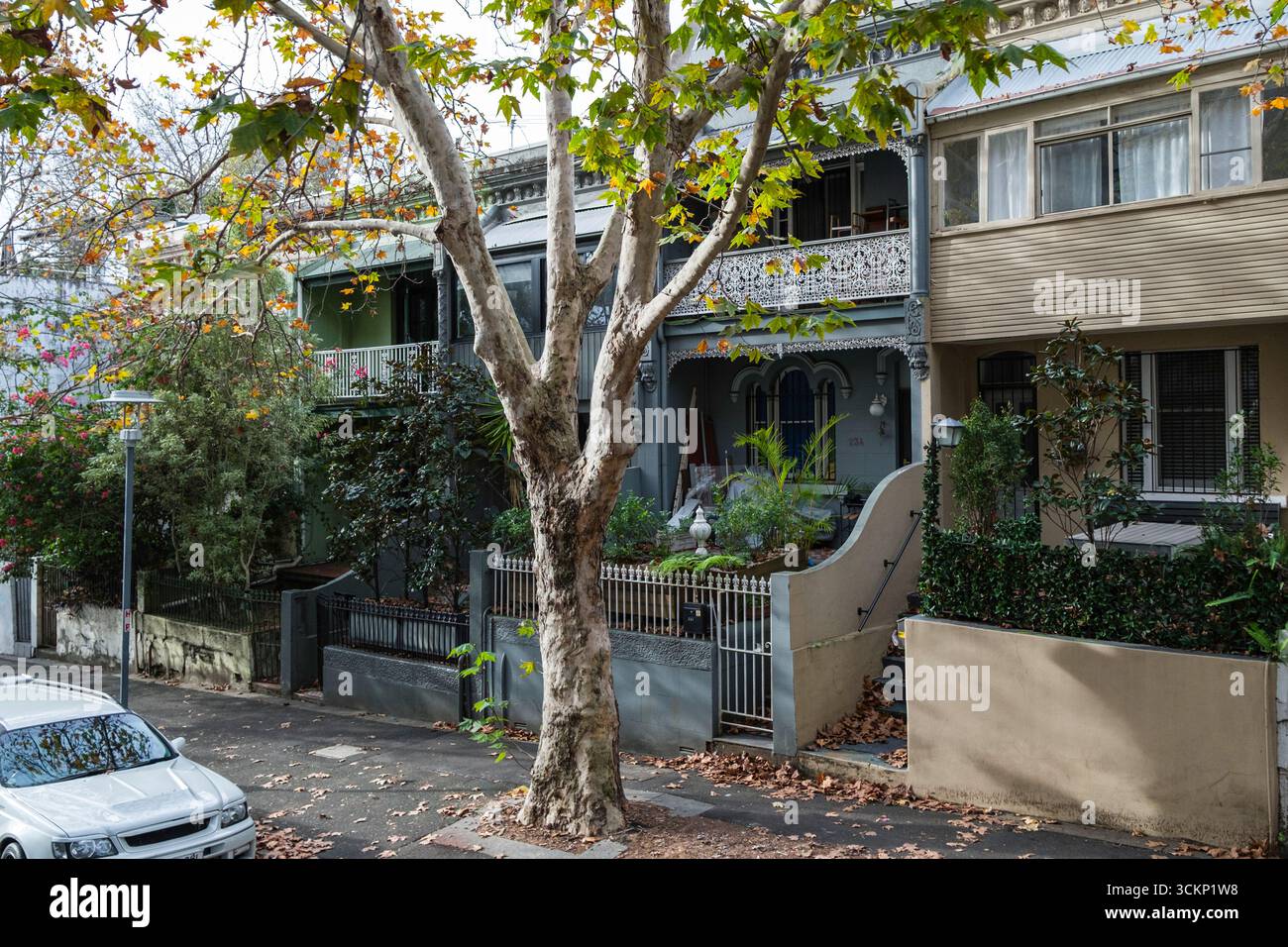 Una pittoresca strada urbana caratterizzata da case terrazzate splendidamente mantenute, giardini vivaci e un ambiente tranquillo, CBD, Sydney, NSW, Australia Foto Stock