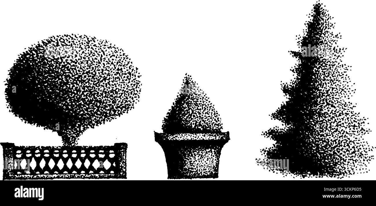 Grafica a inchiostro ultra dettagliata di alberi decorativi e piante in pentole. Illustrazione Vettoriale