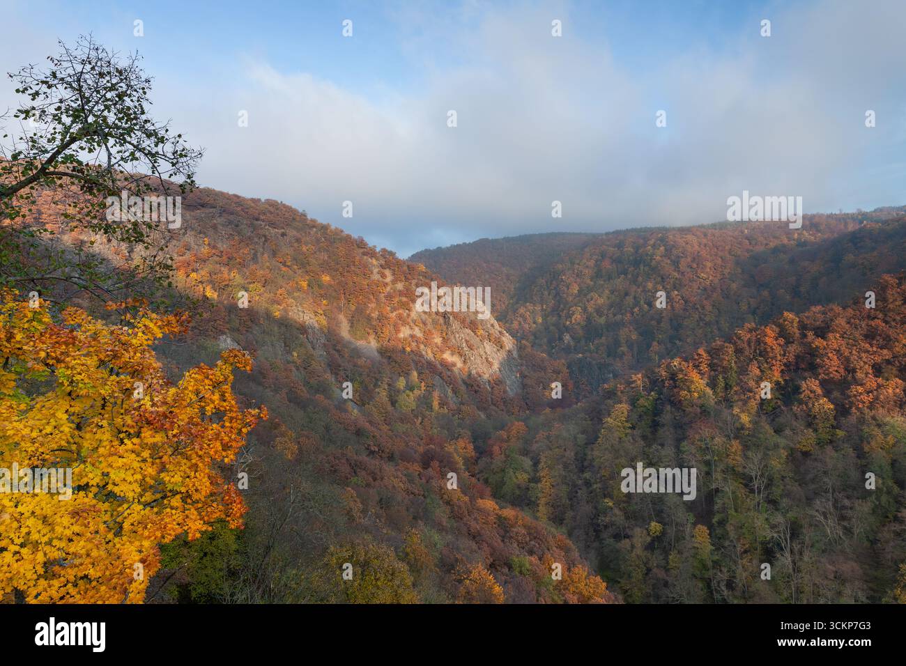 Splendida vista serale della valle autunnale di Bode nelle montagne Harz. Foto Stock