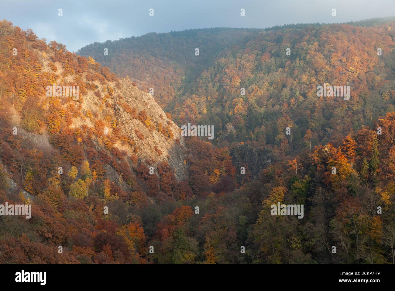 Splendida vista serale della valle autunnale di Bode nelle montagne Harz. Foto Stock
