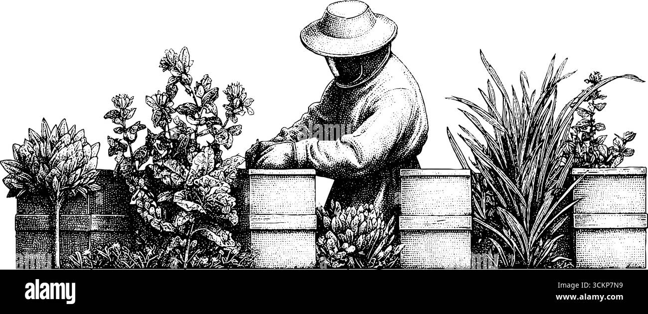 Apicoltore che si prende cura degli alveari tra i fiori selvatici nel panorama dei giardini botanici. Illustrazione Vettoriale