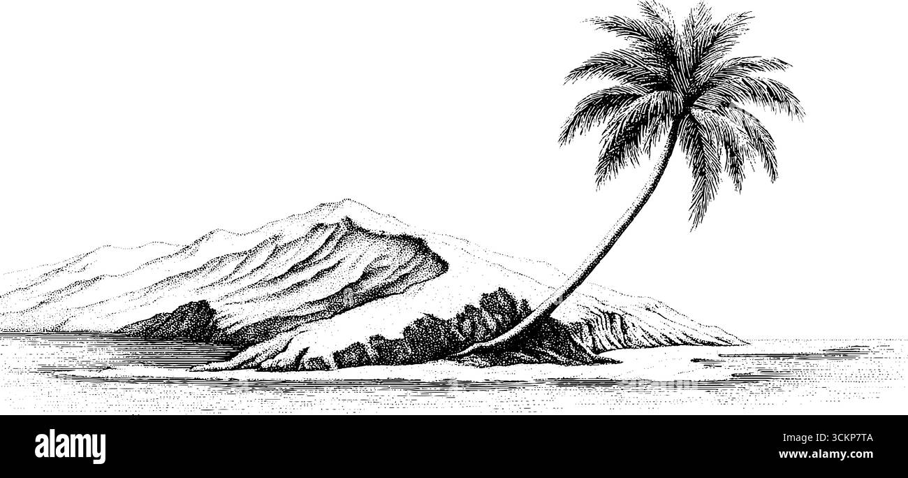 Silhouette tranquilla dell'isola con palme per temi e design naturali. Illustrazione Vettoriale