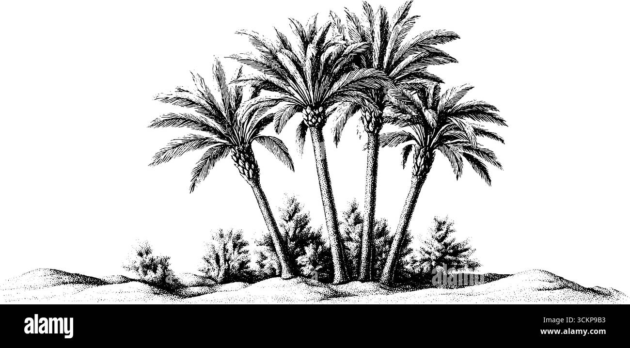 Oasi del deserto con palme da dattero e vegetazione - ideale per la natura e i progetti di viaggio. Illustrazione Vettoriale