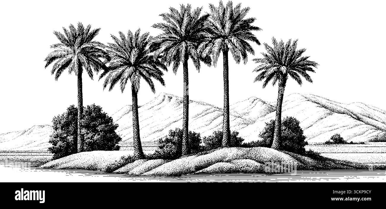 Oasi serena nel deserto con palme da dattero e un paesaggio coltivato. Illustrazione Vettoriale
