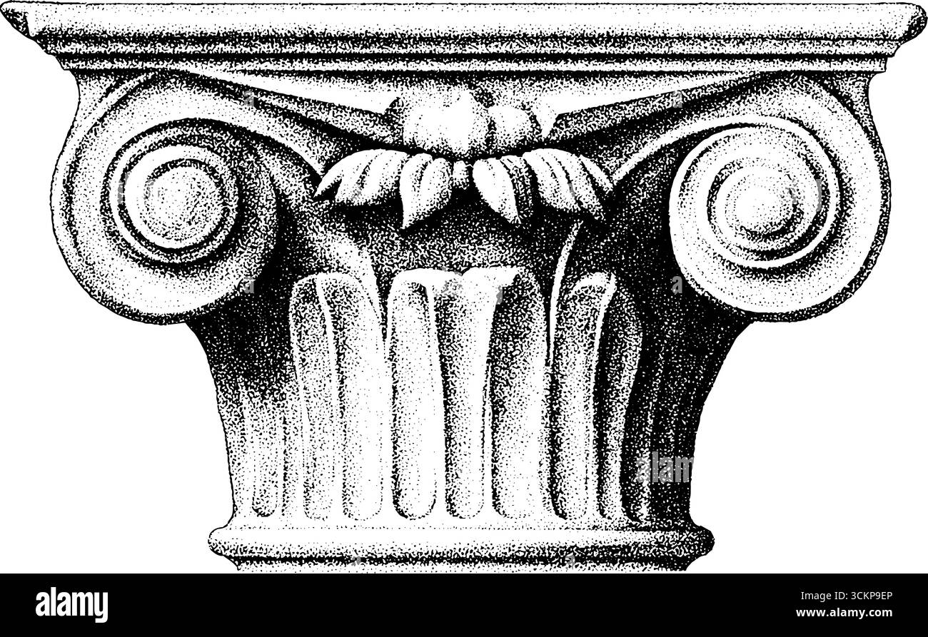 Capitello dorico con frammento scanalato per la progettazione e lo studio architettonico. Illustrazione Vettoriale