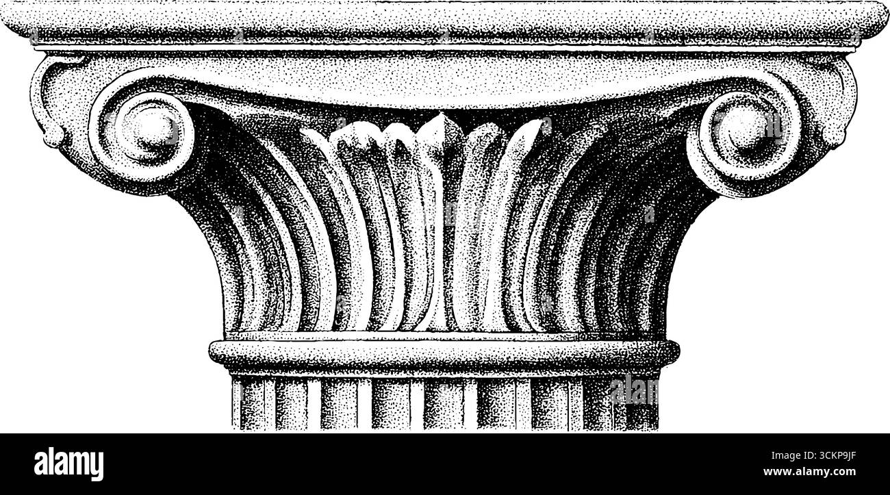 Capitale dettagliato della colonna dorica con frammento scanalato per la progettazione architettonica. Illustrazione Vettoriale