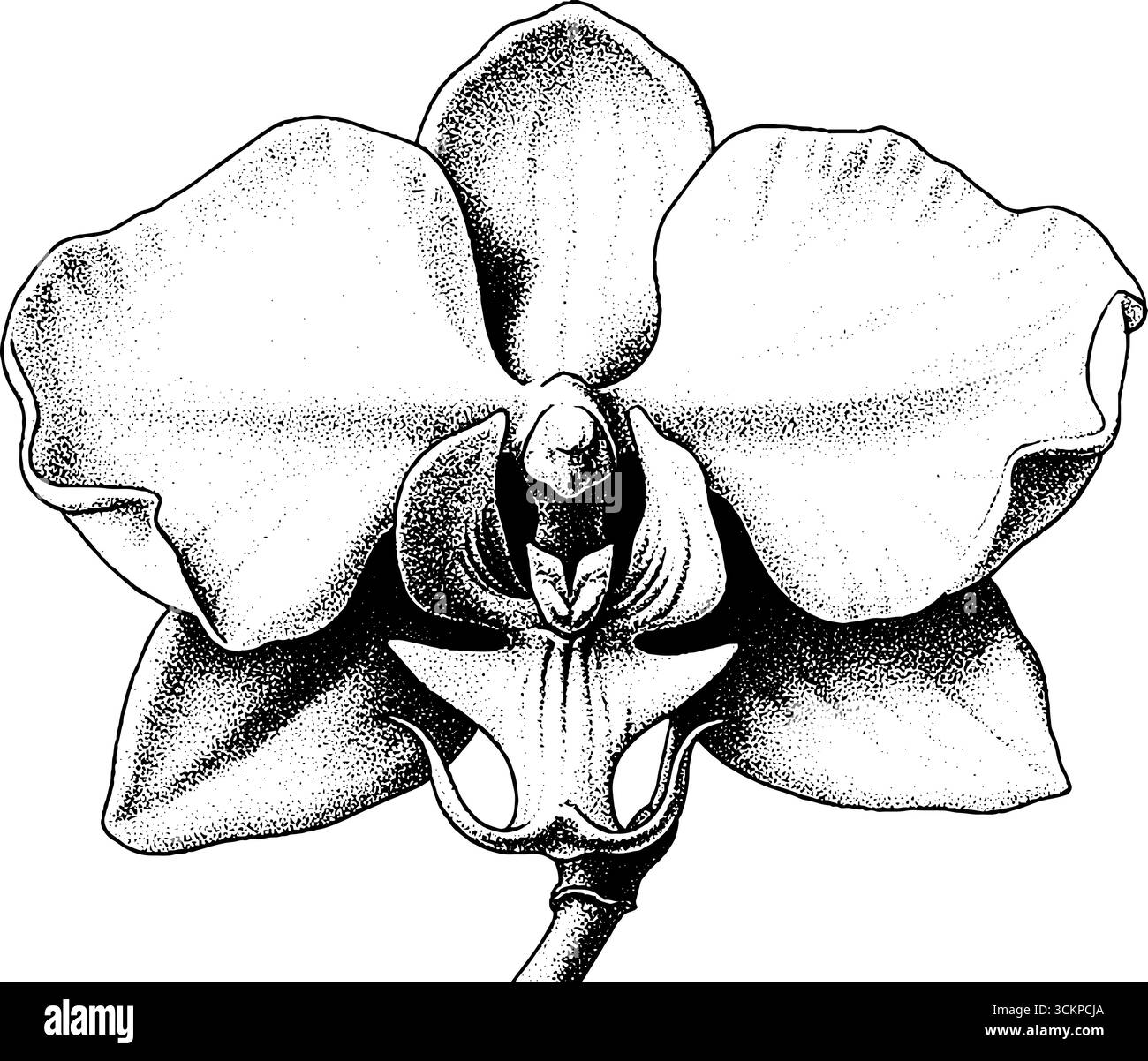 Design intricato del tatuaggio in fiore di orchidee con dettagli a forma di trame per gli appassionati d'arte. Illustrazione Vettoriale