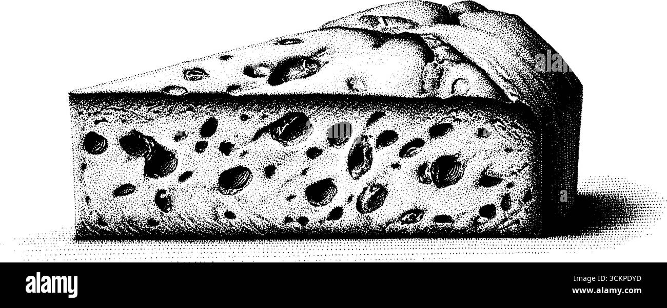 Fetta di panettone con frutta candita per dolci festivi e festeggiamenti natalizi. Illustrazione Vettoriale