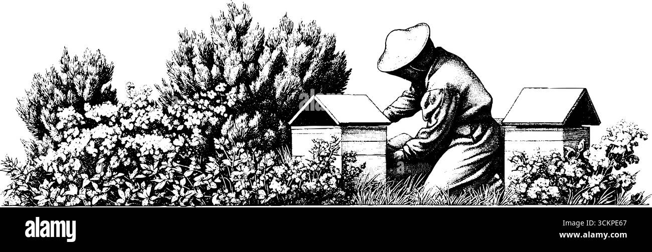 Apicoltore che si prende cura delle casse dell'alveare tra fiori selvatici in fiore. Illustrazione Vettoriale