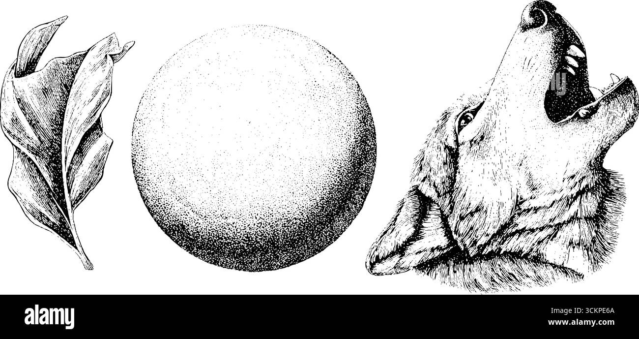 Luna piena mistica con silhouette di lupo e illustrazione del marchio dell'artiglio. Illustrazione Vettoriale