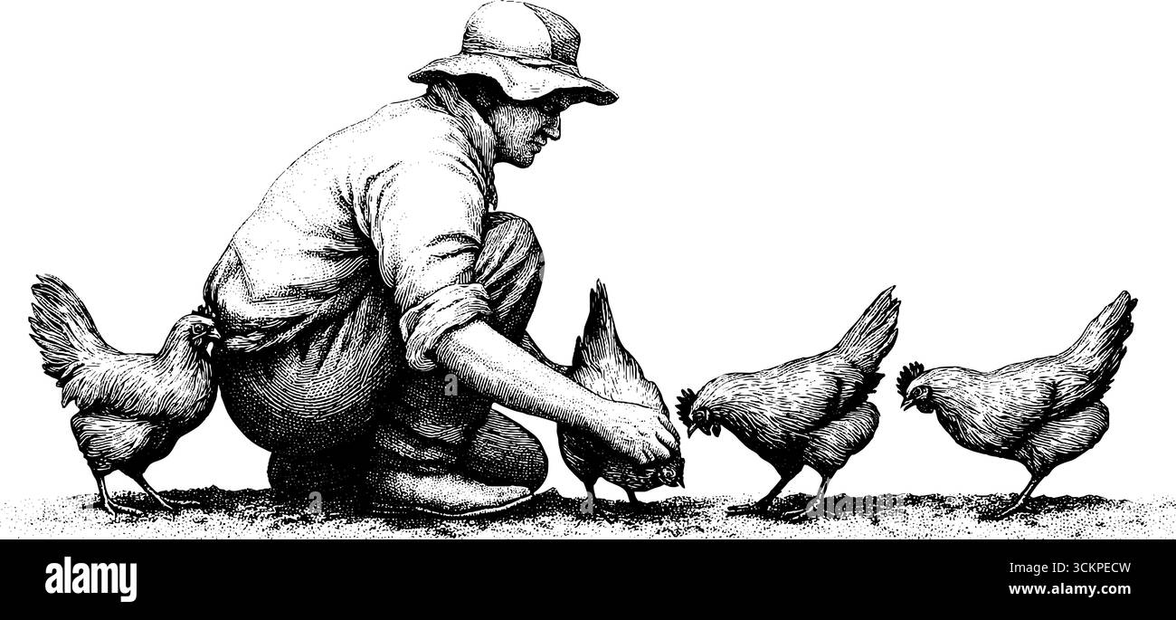 Contadino che dà da mangiare ai polli con opere d'arte in stile tatuaggio. Illustrazione Vettoriale