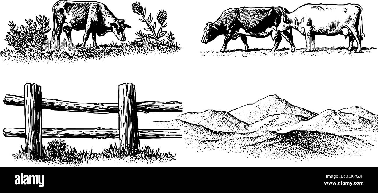 Paesaggio rurale con bestiame da pascolo, rametti di erba medica, recinzione in legno e catena montuosa. Illustrazione Vettoriale