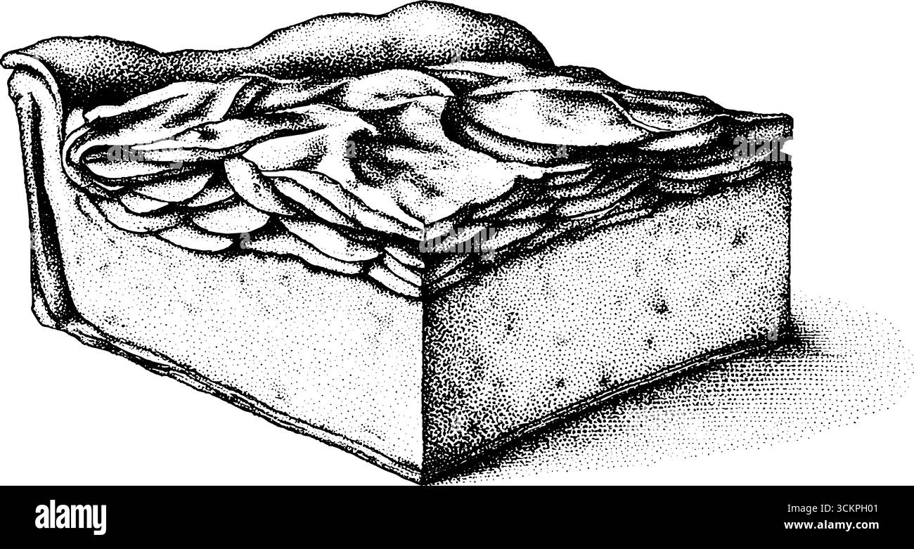 Deliziosa fetta di patate al gratin con crosta dorata e ricca consistenza a strati per l'arte culinaria e le ricette. Illustrazione Vettoriale