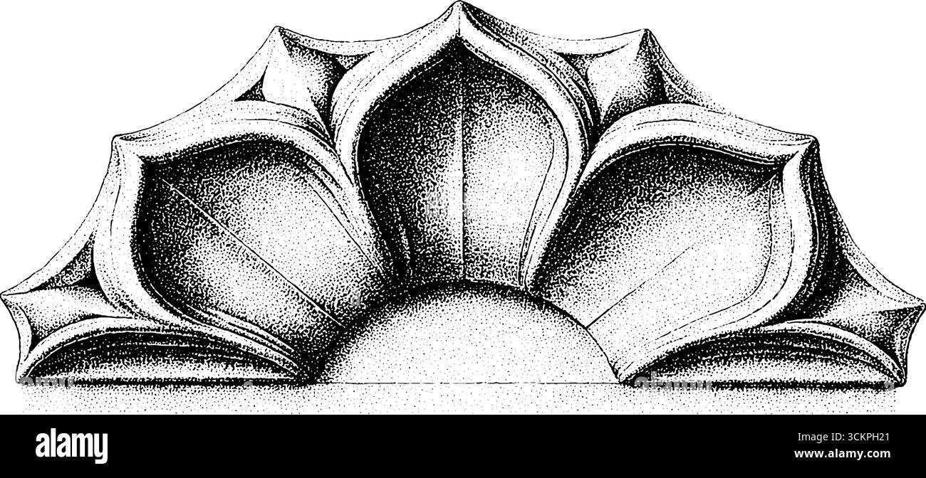 Progettazione architettonica di volta a boiserie e struttura a costola quadripartita. Illustrazione Vettoriale