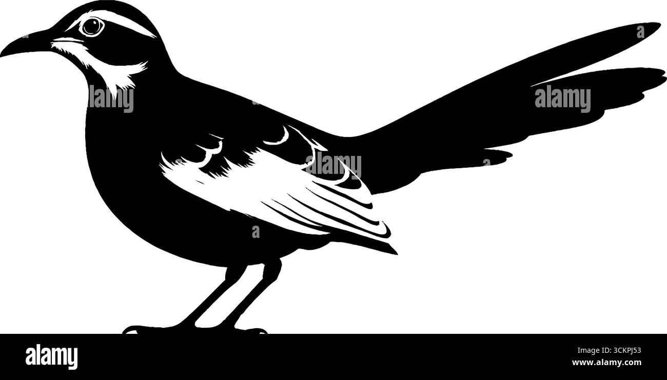 Profilo del roadrunner e degli uccelli correlati per i disegni della natura e della fauna selvatica. Illustrazione Vettoriale