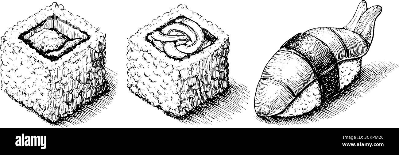 Bozzetto dettagliato di sushi roll, nigiri e wasabi per disegni culinari. Illustrazione Vettoriale