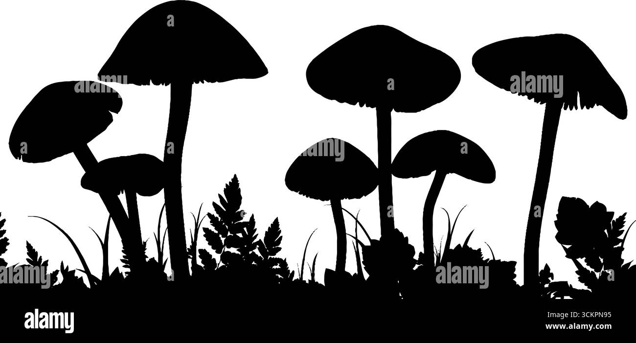 Fate magiche e funghi sagomano i bordi per un design fantastico. Illustrazione Vettoriale