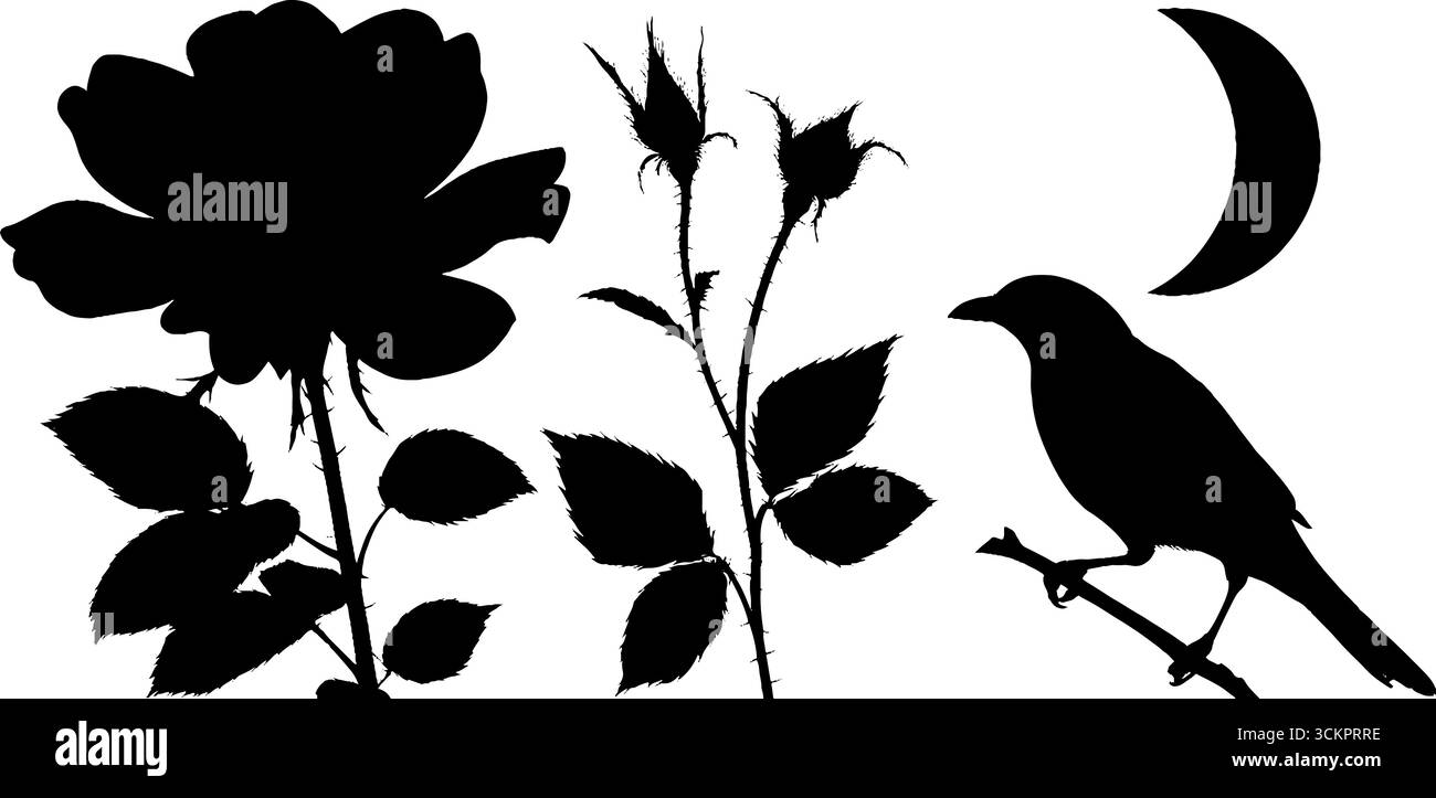 Elegante silhouette di rosa con corvo e mezzaluna per un design artistico. Illustrazione Vettoriale