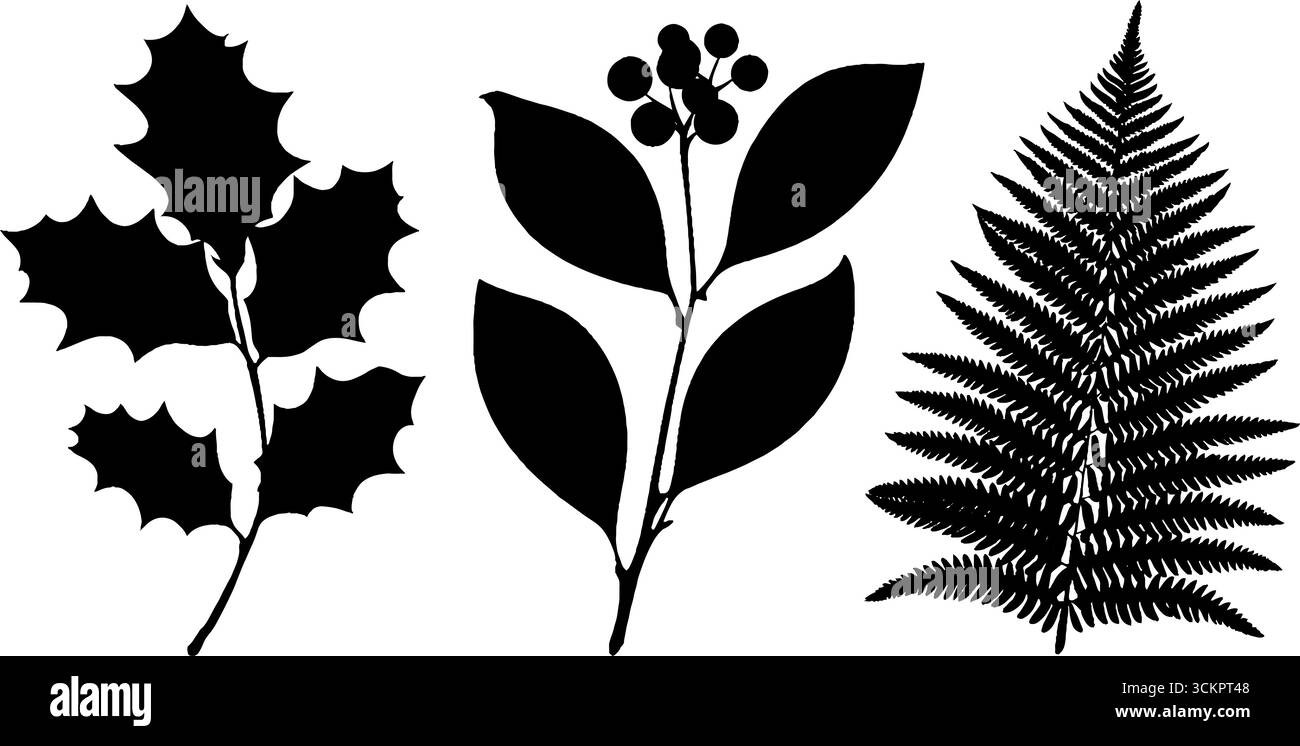 Collezione di silhouette botaniche: Foglie holly, vite edera e felce per progetti ispirati alla natura. Illustrazione Vettoriale