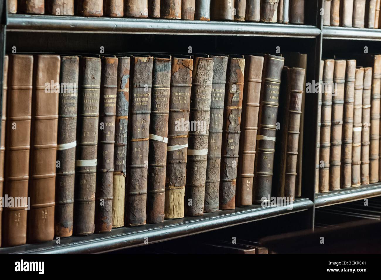 Dublino, Irlanda - 4 aprile 2025: File di libri antichi su scaffali in legno all'interno della Trinity College Library, Dublino Foto Stock